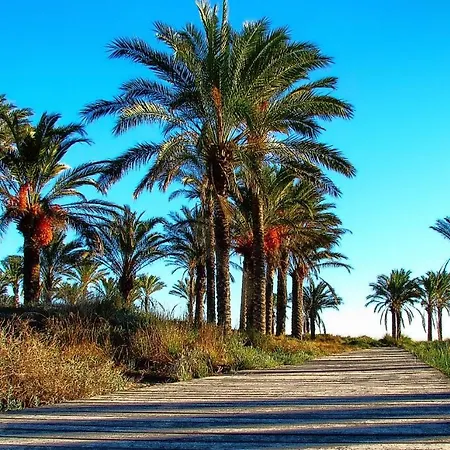 Piso Centro De Castellon
